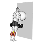 Exercise Ball On The Wall Calf Raise (tennis Ball Between Knees) exercise animation