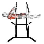 Front Lever Reps exercise animation