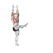 Handstand form demonstration - targeted for Triceps Upper Arms workouts