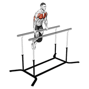 Weighted Straight Bar Dip exercise animation