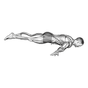 Full Maltese form demonstration - targeted for Abs Waist workouts
