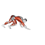 Bear Crawl form demonstration - targeted for Cardiovascular System Cardio workouts