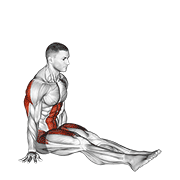 V-Sit On Floor form demonstration - targeted for Abs Waist workouts