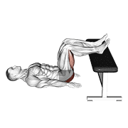 Glute Bridge Two Legs On Bench (male) form demonstration - targeted for Glutes Upper Legs workouts