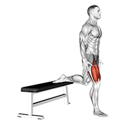 Quads form demonstration - targeted for Quads Upper Legs workouts