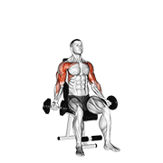 Dumbbell Seated Biceps Curl To Shoulder Press exercise animation