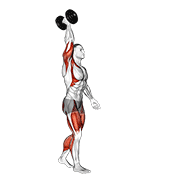 Dumbbell Single Arm Overhead Carry exercise animation