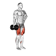 Dumbbell Contralateral Forward Lunge exercise animation