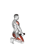 Weighted Kneeling Step With Swing exercise animation