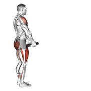Weighted Lunge With Swing exercise animation