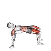 Reverse Plank With Leg Lift exercise animation