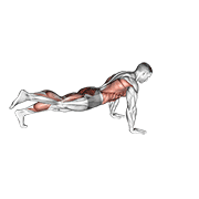 Power Point Plank form demonstration - targeted for Abs Waist workouts