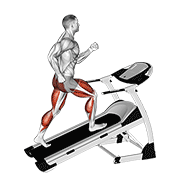 Walking On Incline Treadmill form demonstration - targeted for Cardiovascular System Cardio workouts