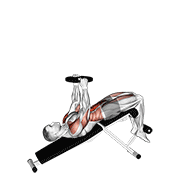 Weighted Decline Sit-Up exercise animation