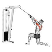 Cable Kneeling Rear Delt Row (with Rope) (male) form demonstration - targeted for Delts Shoulders workouts
