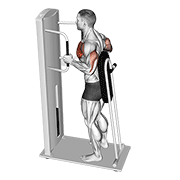 Lever Standing Chest Press exercise animation