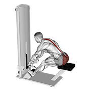 Lever Seated Good Morning form demonstration - targeted for Glutes Upper Legs workouts