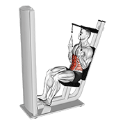 Lever Seated Crunch V. 2 exercise animation