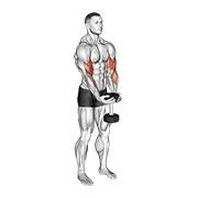 Dumbbell Waiter Biceps Curl exercise animation